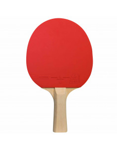 Sport 100 2