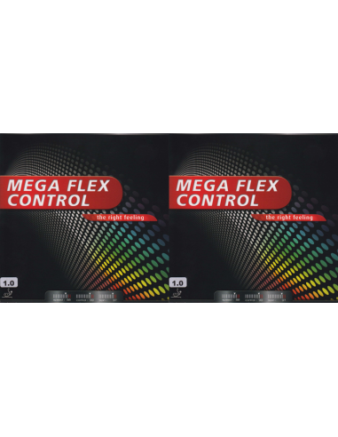 Raquette Mega Flex Control/Power-all