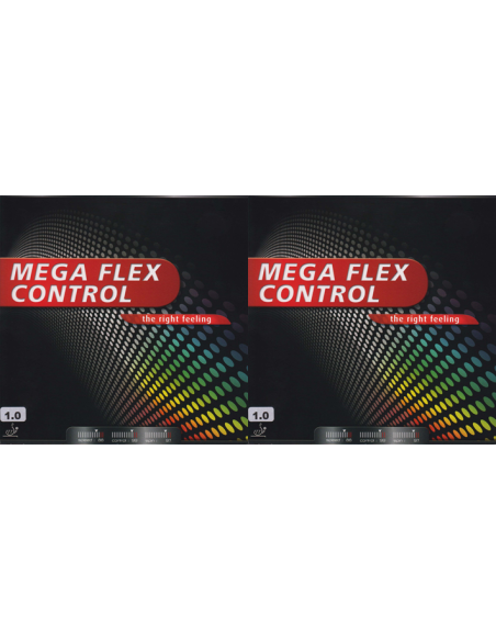 Raquette Mega Flex Control/Power-all