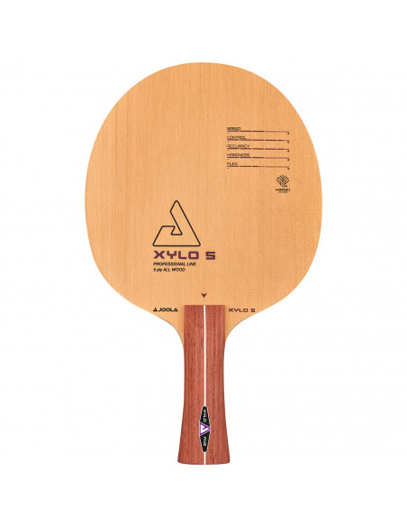 XYLO 5