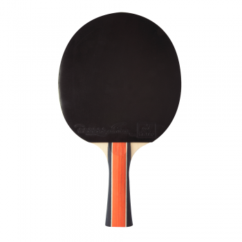 Sport 300 2