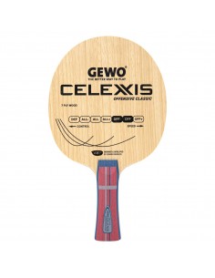 XEGNA SPIN | Wenja le tennis de table pour tous