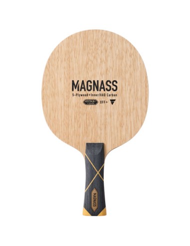 MAGNASS | Wenja le tennis de table pour tous