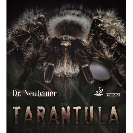 Tarantula