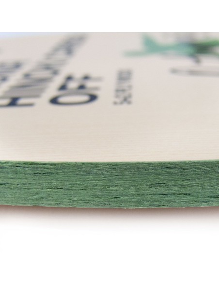 GEWO Aruna Hinoki Carbon OFF | Wenja