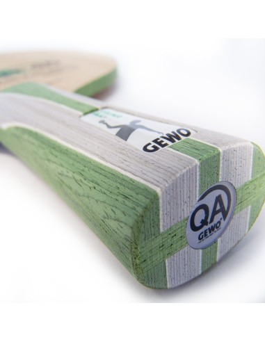 GEWO Aruna Carbon ALL+ | Wenja