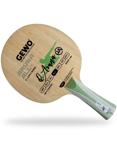 GEWO Aruna Carbon ALL+ | Wenja