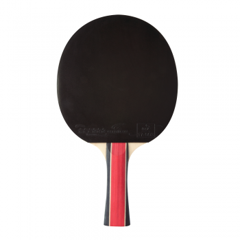 Sport 400 2